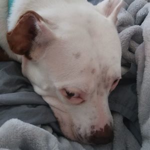 Meet your Posher, Jeanann